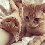 Fletcher Hewitt - Facebook