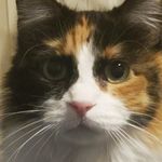 Fletcher - @fletcher.hoffman232021 - Instagram