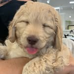 Fletcher D. Woodman-Holt - @fletch_yalater - Instagram