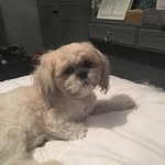 Fletcher George Holt - @fletchergeorgeholt - Instagram