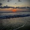 Fletcher_Showell - @fletcher_showell - TikTok