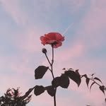 Fletch Keywood - @fletcherkeywood - Instagram