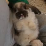 Fletcher Klein - @fletcherk110 - Instagram