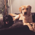 Fletcher Lambert - Facebook