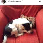 Fletcher Lambert - @fletcherlambert88 - Instagram