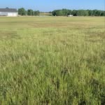 Fletcher’s Lawn Care - @fletcherlawncare - Instagram