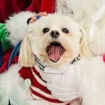 Fletcher Malone - @fletcher_malone_9 - Instagram