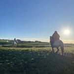 Fletcher Manning - @fletchermanning316 - Instagram