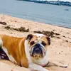 fletchermanning82 - @fletchermanning82 - TikTok