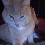 Fletcher Quincy McGee - Facebook