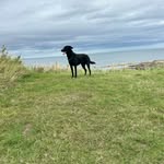Fletcher Miller - @fletchermiller273 - Instagram