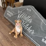 Miller and Fletcher 💈 - @millerandfletcher - Instagram