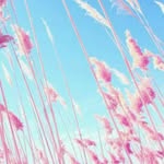 Ego poems - @fletcher_moonlight - Instagram