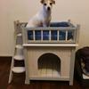 user3179025196361 - @fletchermoorevf1ll8 - TikTok