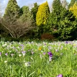 Fletcher Moss Park 🌳🌸🦋 - @fletchermosspark - Instagram