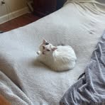 Fletcher Mullins - Facebook