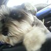 fletcher_mullins - @fletcher_mullins - TikTok