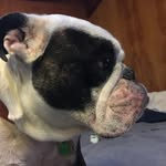 Fletcher Olson - @the.fletcher.files - Instagram