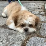 @fletcher_parkinson4 - Instagram