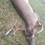 Fletcher Parrish - Facebook