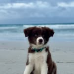 Fletcher Patterson - @fletcherpatto - Instagram