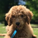 Fletcher Pennington - @lovingsomefletch - Instagram
