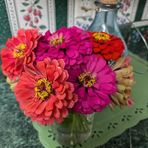 Stephanie Fletcher Perkins - Facebook