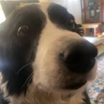 Fletcher petty - @fletcher.petty - Instagram