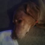 Fletcher Robert Pratt - @fletch_pratt13579 - Instagram