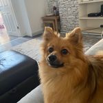 Fletcher Pugh - @fletcherpugh7 - Instagram