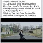 Fletcher Pugh - @bopete1947 - Instagram