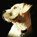 Fletcher Reed - @reedfletcher161 - Instagram