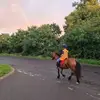 Fletcher Reid - @fletcher.reid - TikTok