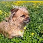 Fletcher Reid - @_fletcher_reid_ - Instagram