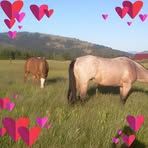 Maureen Fletcher-Rice - Facebook