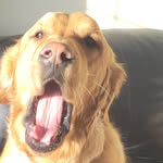 Fletcher Roth - @fletcher_roth - Instagram