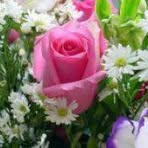 Fletcher Sanchez - Facebook