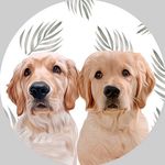 ★ 𝚂𝚊𝚠𝚢𝚎𝚛 + 𝙵𝚕𝚎𝚝𝚌𝚑𝚎𝚛 ★ - @_sawyer.and.fletcher_ - Instagram