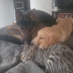Fletcher Samwise Sawyer - @thebigbadtriad - Instagram
