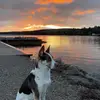 fletch - @fletcher.stueck - TikTok