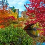 Fletcher Singleton - Facebook
