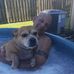 Chrissy Slater - Facebook