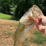 Fletcher Stephens - @fletcherstephens11 - Instagram