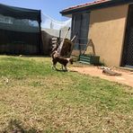 Fletcher Sutton - Facebook