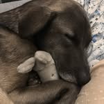 Fletcher Thomas Greenberg Salzmen - @f_o_r_t_i_s07 - Instagram