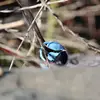 Thomas Fletcher - @thomas.fletcher84 - TikTok