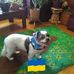 Thomas Fletcher - Facebook