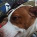 Fletcher Thompson - Facebook