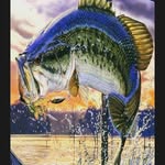 fletcher thompson - @cwood_bassin - Instagram