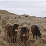 Fletcher Walker - @flet.cherwalker - Instagram